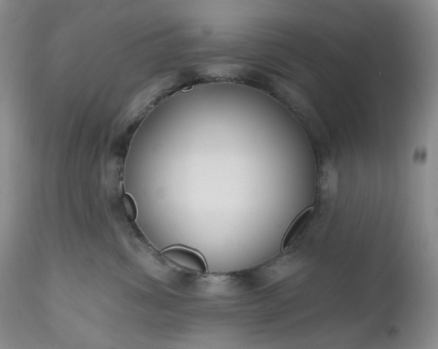 X0000112520428200908311402