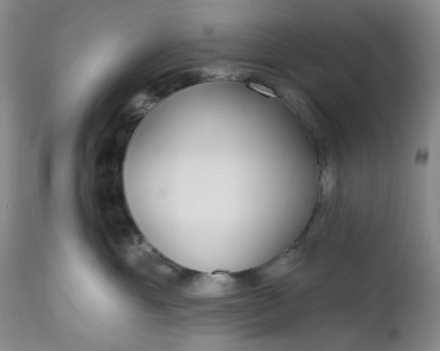 X0000112520429200908311402