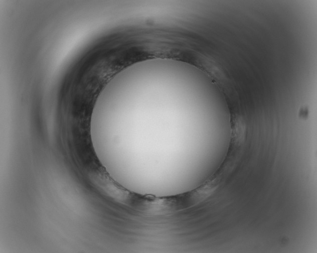 X0000112520430200908311402