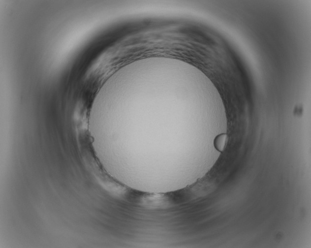 X0000112520431200908311402