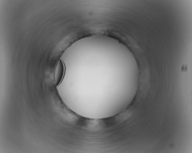 X0000112520432200908311402