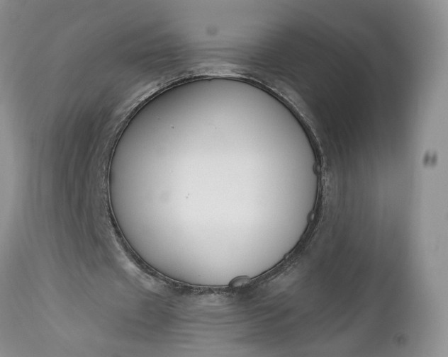 X0000112520433200908311401