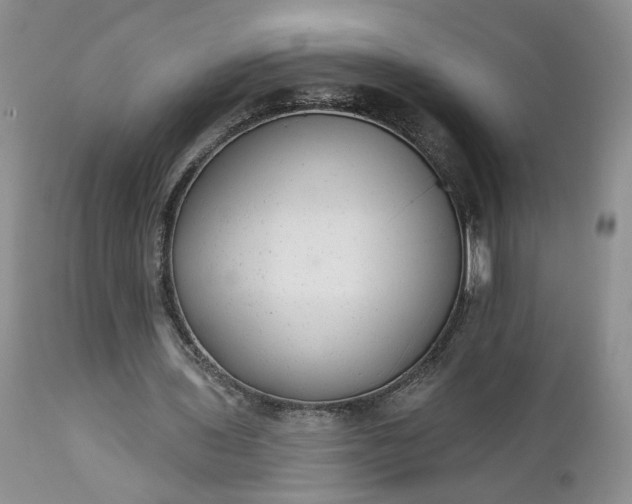X0000112520435200908311401