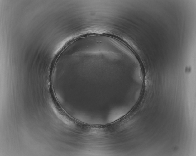 X0000112520438200908311401