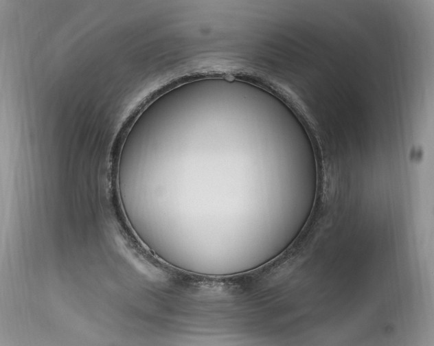 X0000112520439200908311401