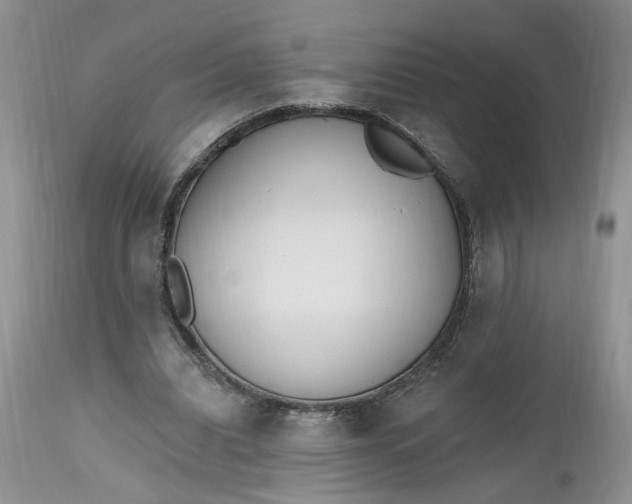 X0000112520440200908311401