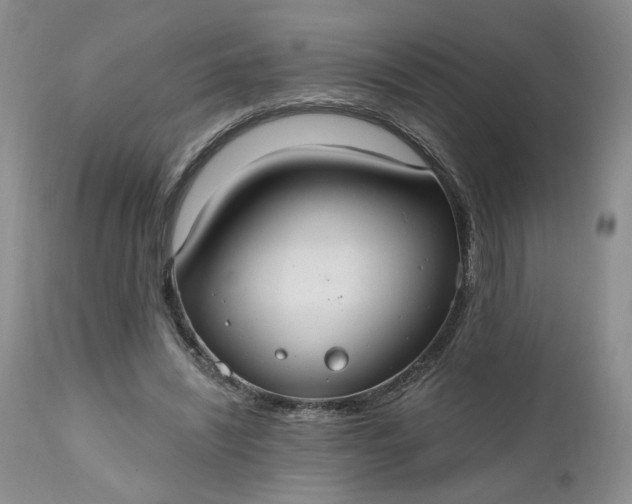 X0000112520444200908311401