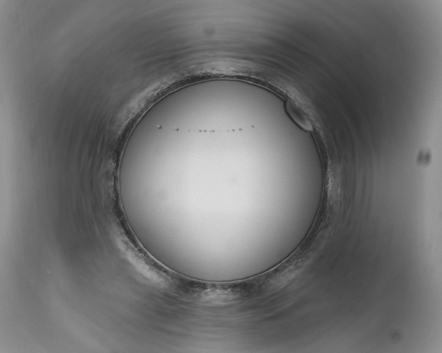 X0000112520445200908311401