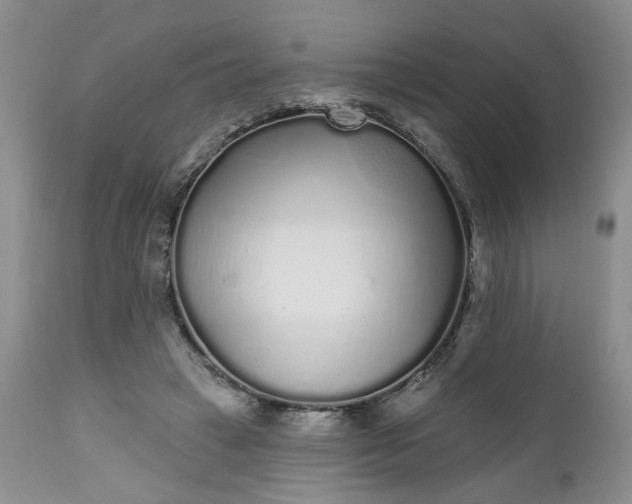 X0000112520449200908311401