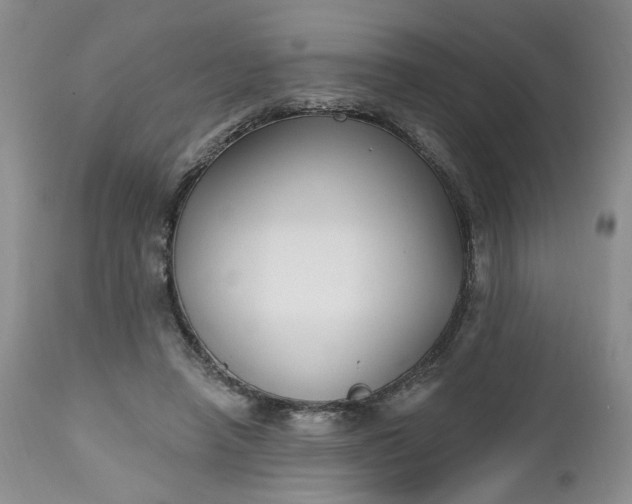 X0000112520450200908311401