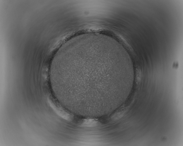 X0000112520451200908311401
