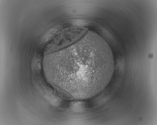 X0000112520452200908311401