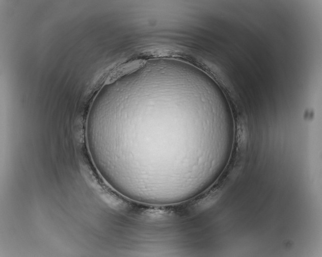 X0000112520453200908311401