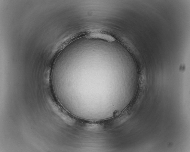 X0000112520454200908311401