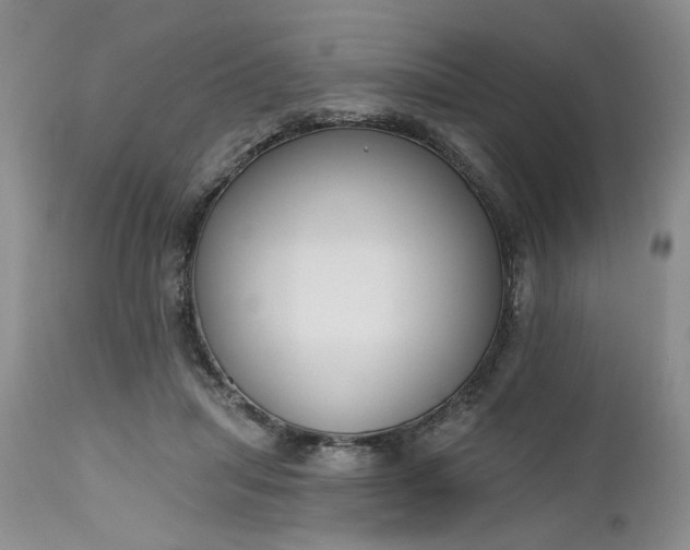 X0000112520455200908311401