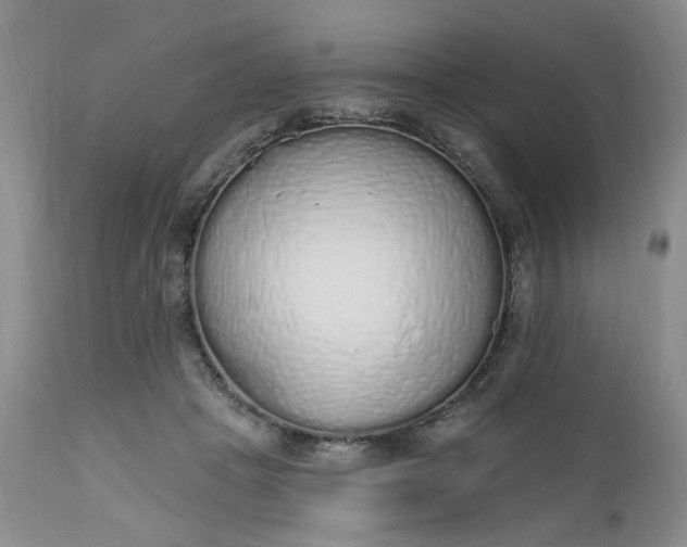 X0000112520457200908311401