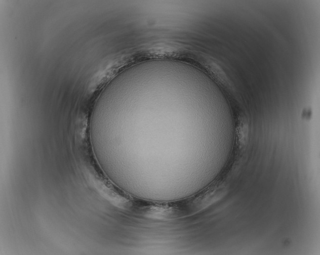 X0000112520458200908311401