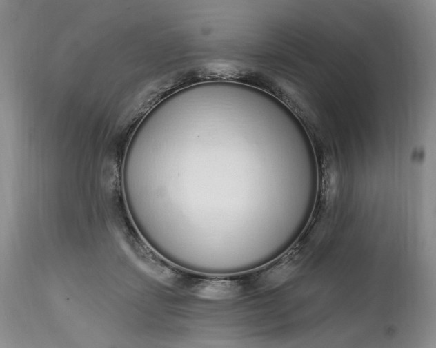 X0000112520459200908311401