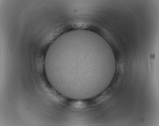 X0000112520460200908311401