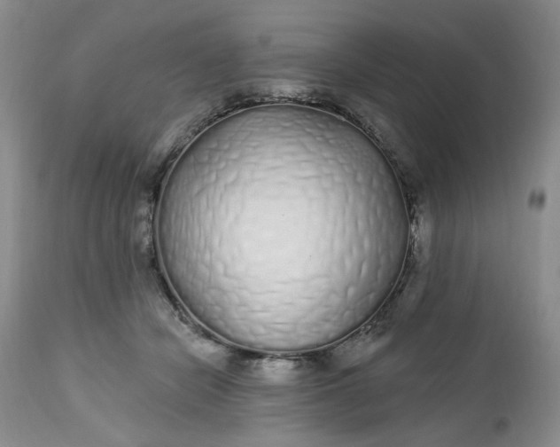 X0000112520462200908311401