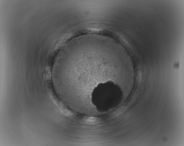 X0000112520467200908311401