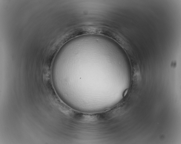 X0000112520469200908311402