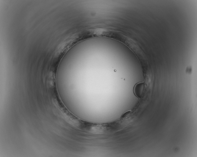 X0000112520470200908311402