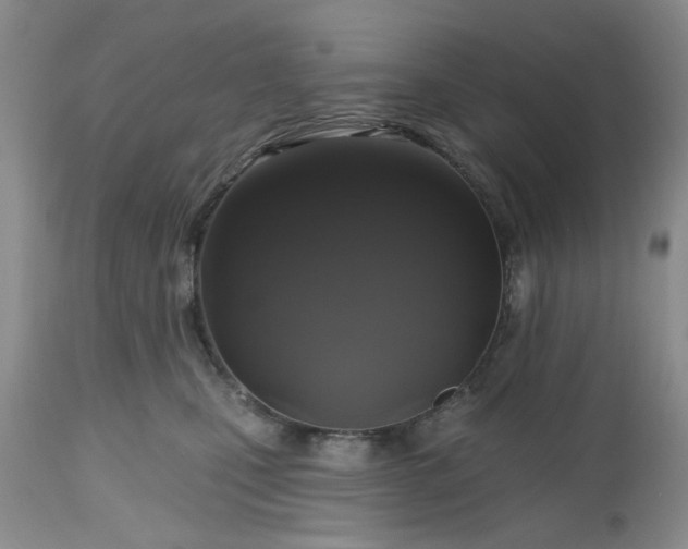 X0000112520471200908311402