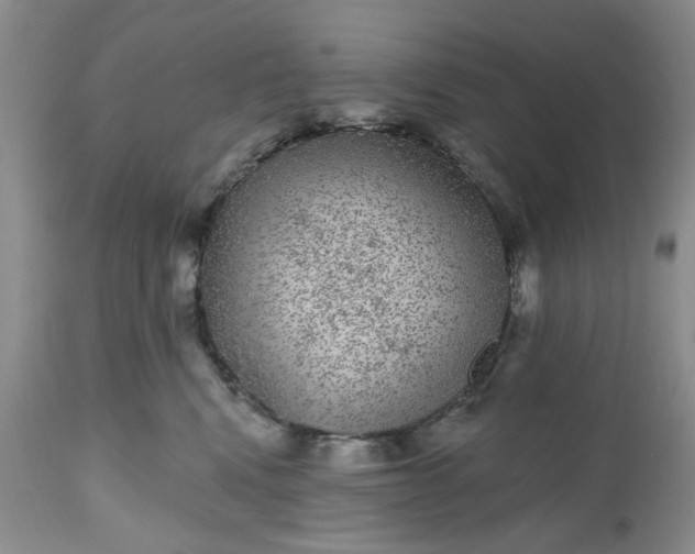 X0000112520472200908311402