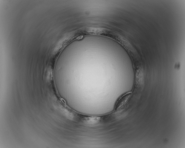 X0000112520474200908311402