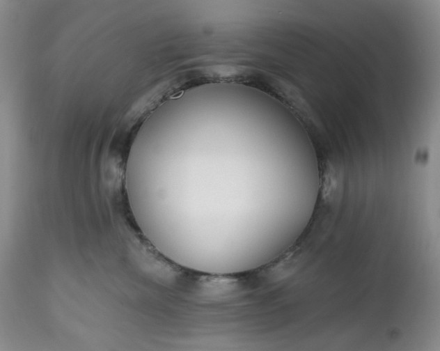 X0000112520476200908311402