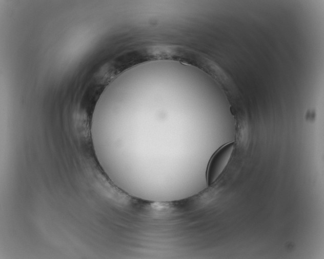 X0000112520477200908311402