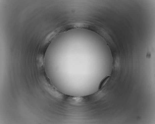X0000112520478200908311402