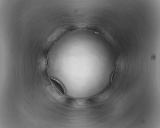 X0000112520479200908311402