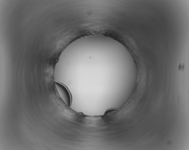 X0000112520480200908311402