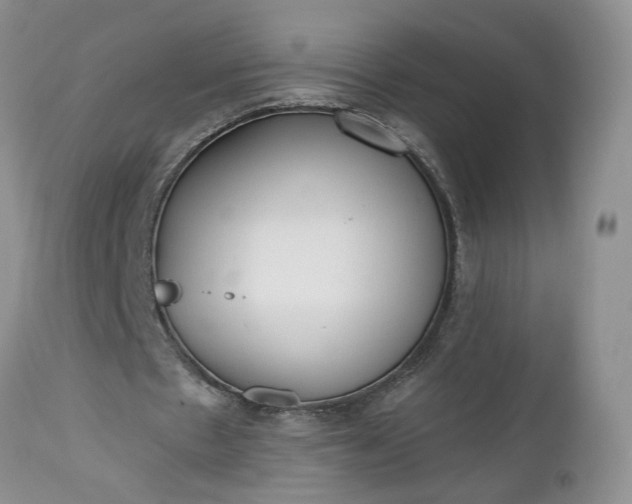 X0000112520481200908311401