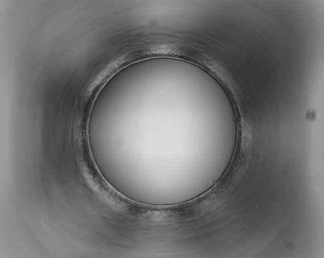 X0000112520482200908311401