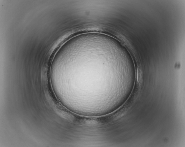 X0000112520483200908311401