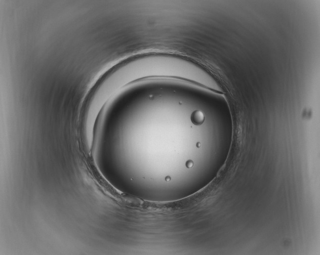 X0000112520484200908311401