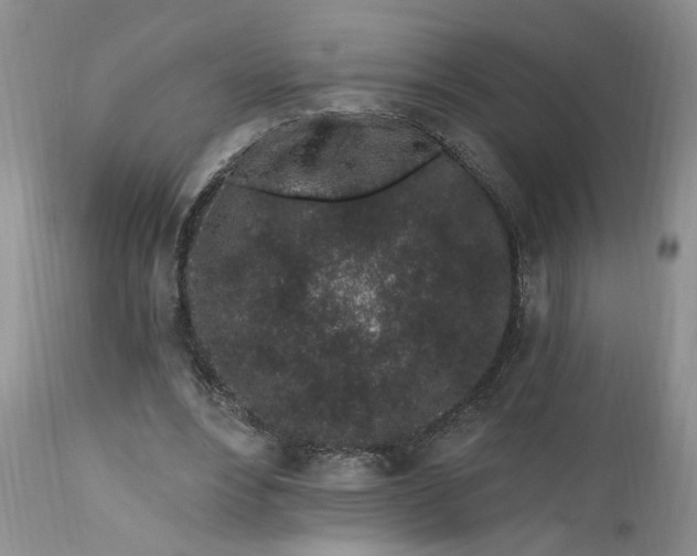 X0000112520488200908311401