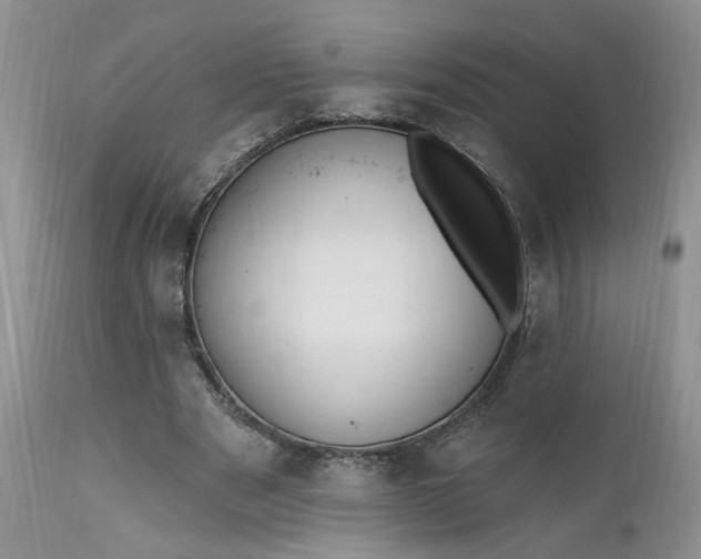 X0000112520489200908311401
