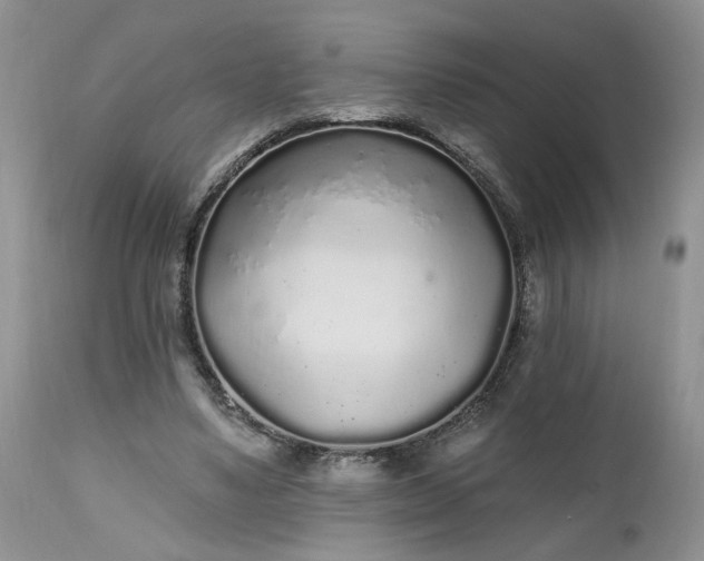 X0000112520491200908311401