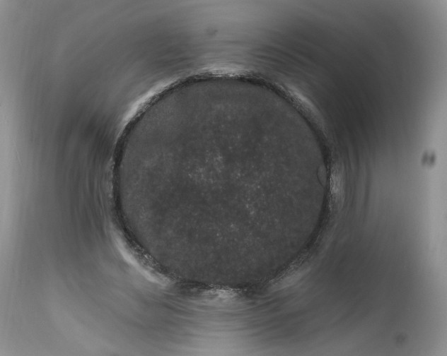 X0000112520492200908311401