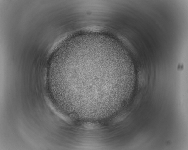 X0000112520494200908311401