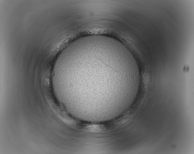 X0000112520499200908311401