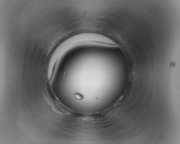 X0000112520500200908311401