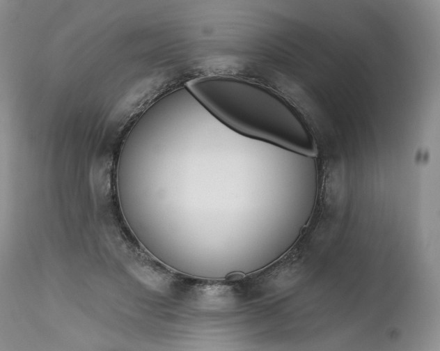 X0000112520501200908311400