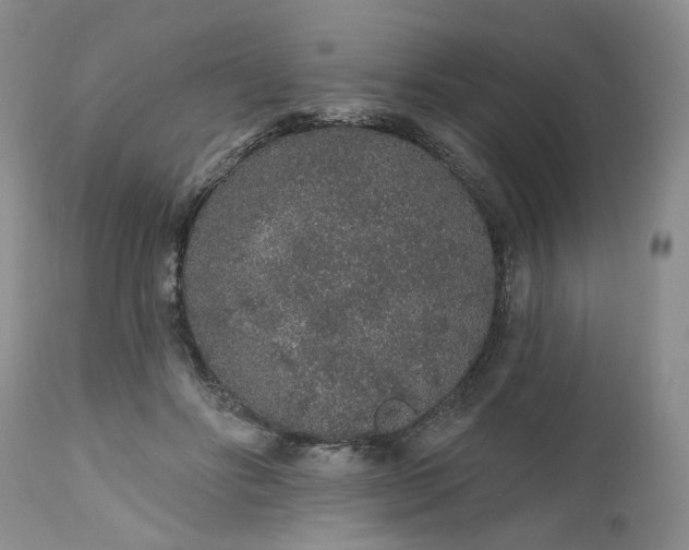 X0000112520502200908311400