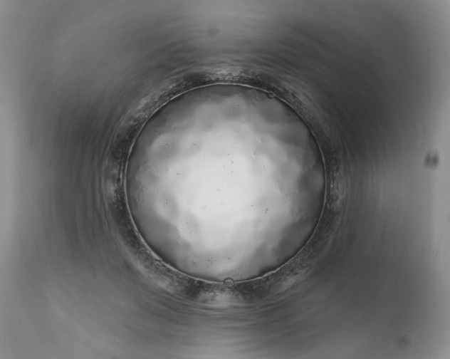 X0000112520503200908311400