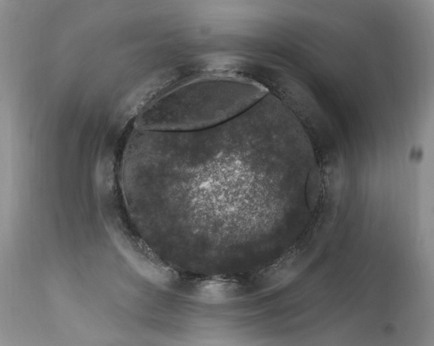 X0000112520504200908311400